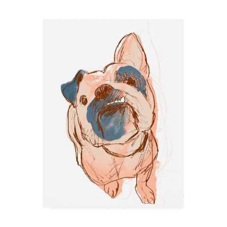 Trademark Fine Art June Erica Vess 'Dog Portrait Bobo' Canvas Art, 18x24 WAG14566-C1824GG